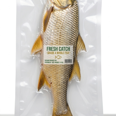 Shinney Fish