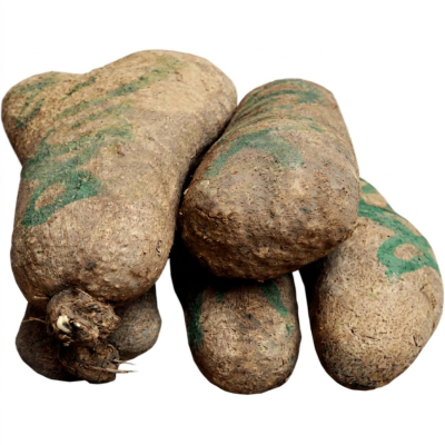 Benue Yam