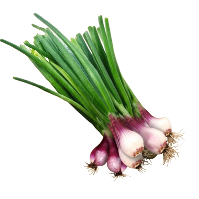 Fresh Local Spring Onions