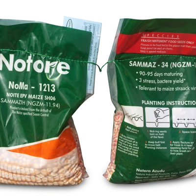 White Maize